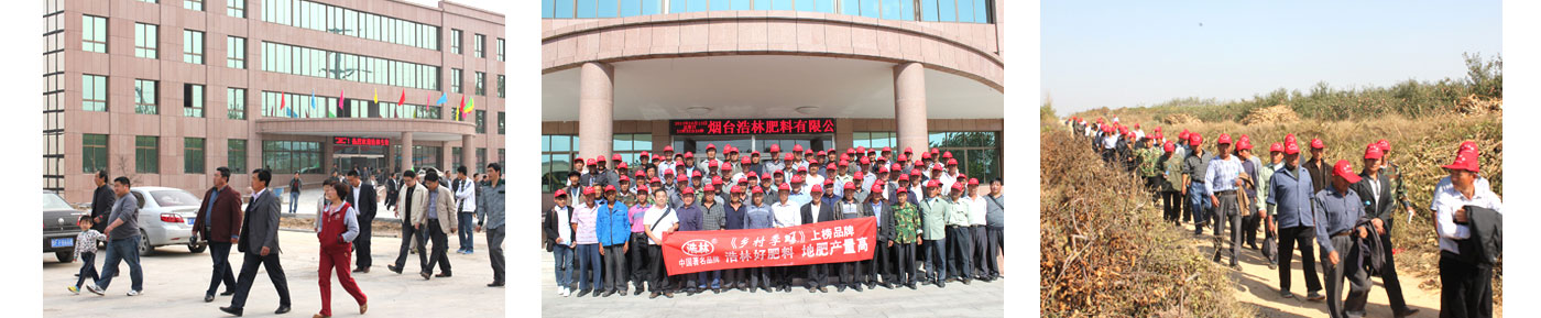 公司簡介