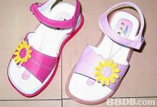 2019年香港寵物X光價(jià)格及商戶聯(lián)系資訊解析